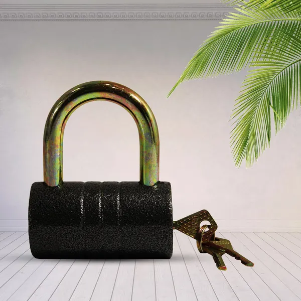 Black_Brass_Core_And_Thickened_Spray_Iron_Door_Lock_With_5_Pc_Keys_(82_Mm_)