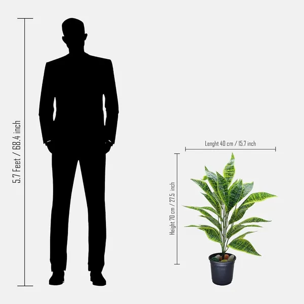 Croton_Petra_Leaf_Plastic_Artificial_Plant_Leaves__|_26_Leaves_without_Pot