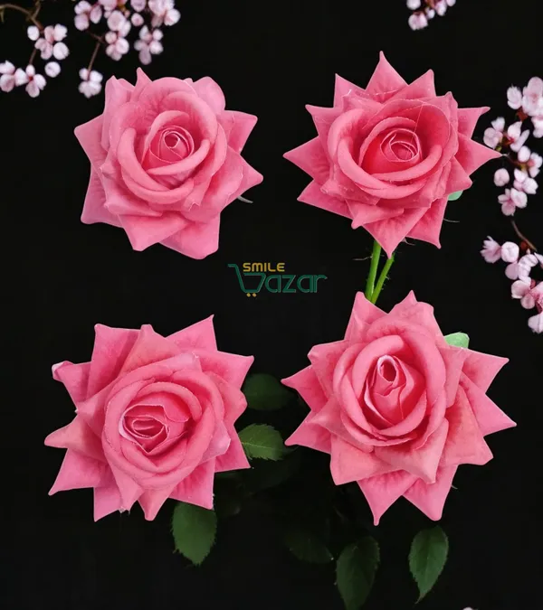 8_Pc_-_Big_Rose_Alligator_Clips_-_Salmon_Red