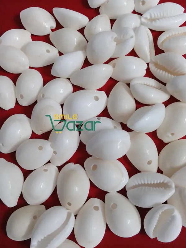 Natural_White_SeaShell /_Cowrie_/ Kowrie /_Kodi_for_DIY_Craft,_Jewellery,_Bracelet,_Rakhi,_Embroidery_Work_-17_MM_Apx_-_100_Pieces