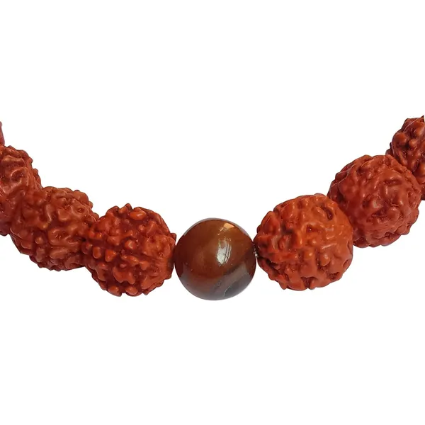 Brown_Rudraksha_With_Tiger_Eye_Bracelet_Stretchable_Energized_Wristband_Gift_For_Special_Ones.