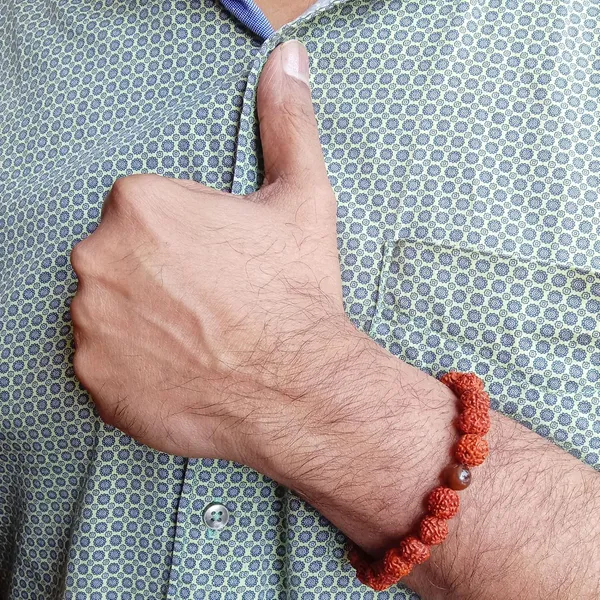 Brown_Rudraksha_With_Tiger_Eye_Bracelet_Stretchable_Energized_Wristband_Gift_For_Special_Ones.