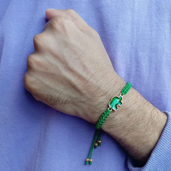 Green_Elephant_Evil_Eye_Bracelet_Adjustable_Wristband_Handmade_Friendship_Brand_For_Girls,_Men,_Boys_And_Women_Gift