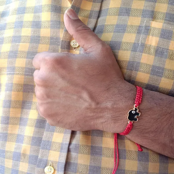 Red_Elephant_Evil_Eye_Bracelet_Adjustable_Wristband_Handmade_Friendship_Brand_For_Girls,_Men,_Boys_And_Women_Gift