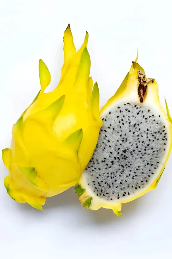 Dragon_Fruit_Plant_Cuttings__Pitaya_Cactus_Plants_(Red,_White_&_Yellow_Varieties)