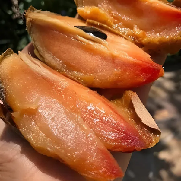 Maxican_Chikoo_|_Grafted_Fruit_Plant_Pack_Of_-_1