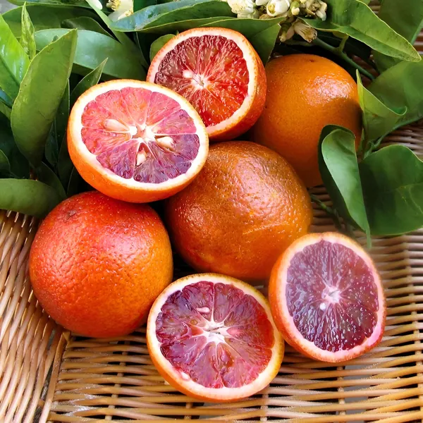 Red_Malta_Mosambi_Fruit_Plant_(Grafted)