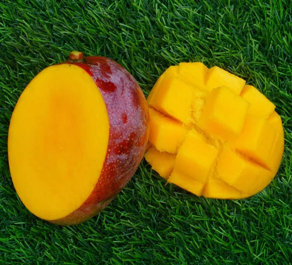 Tommy_Atkins_Mango_Plant_Grafted_Pack_Of_-_1