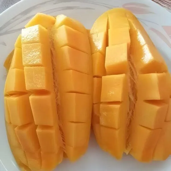 Dockmi_Mango_Plant_(Hybrid)_For_Outdoor_With_Grow_Bag