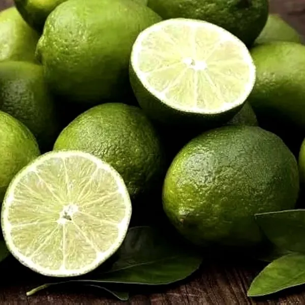 All_Time_Kagzi_Lemon_Plant_(Hybrid)_For_Outdoor_With_Grow_Bag