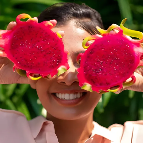 Dragon_Fruit_Plant_(Hybrid)_For_Indoor_&_Outdoor_With_Grow_Bag