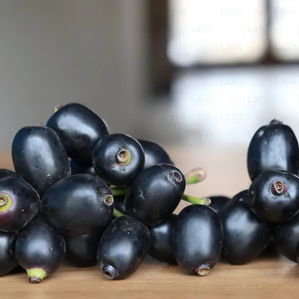 Black_Jamun_Plant_(Hybrid)_For_Outdoor_With_Grow_Bag