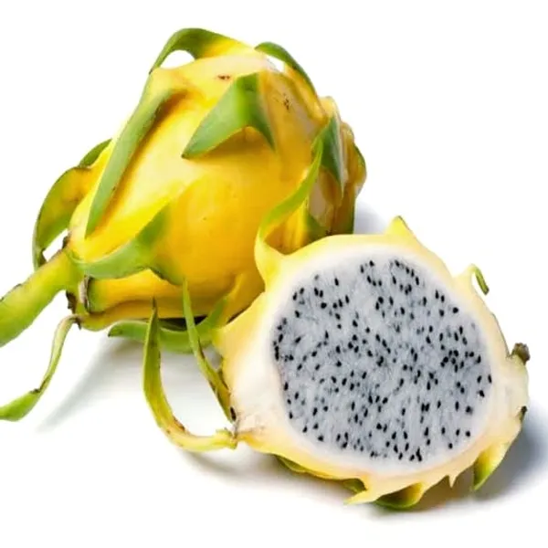 Dragon_Tree_(Hybrid)_For_Indoor_&_Outdoor_With_Grow_Bag