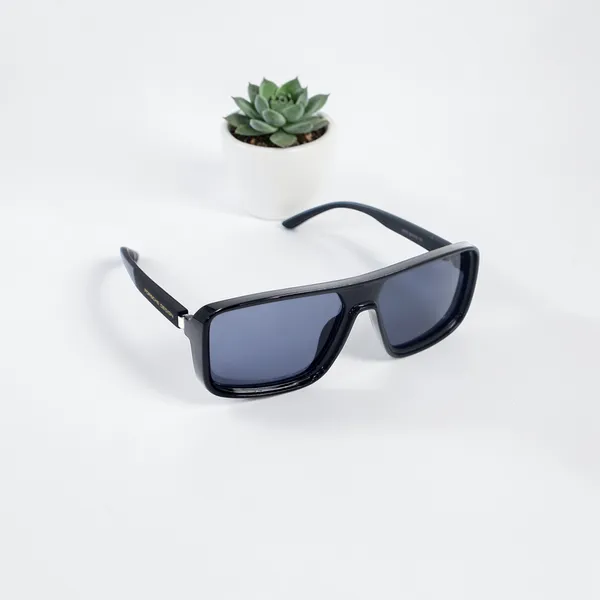 SwamiRaj_EyeWorld_Premium_Branded_Sunglasses_with_Stylish_Rich_Looking_UV_Protected_Sunglasses_for_Men_&_Women