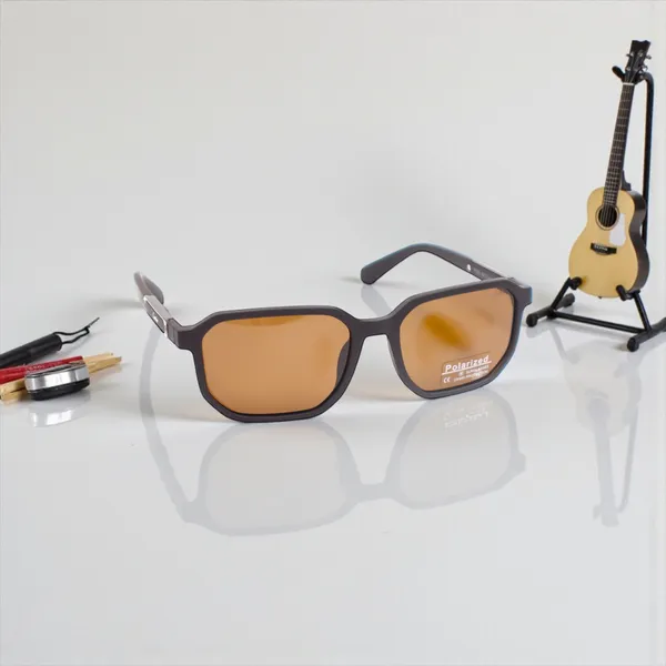 SwamiRaj_EyeWorld_Premium_Branded_Sunglasses_with_Stylish_Rich_Looking_UV_Protected_Polarized_Sunglasses_(P_8232_Brown)