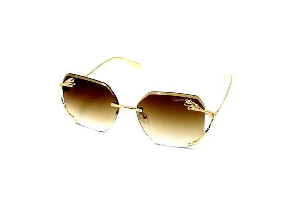 SwamiRaj_EyeWorld_Rimless_Golden_with_Brown__Hexagonal_Rimless_Sunglasses_(Titanium_Frame,_Brown_Shaded_Polycarbonate_Lens,_UV_Protected)_(58073_Golden_with_Brown)