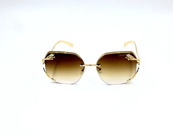 SwamiRaj_EyeWorld_Rimless_Golden_with_Brown__Hexagonal_Rimless_Sunglasses_(Titanium_Frame,_Brown_Shaded_Polycarbonate_Lens,_UV_Protected)_(58073_Golden_with_Brown)
