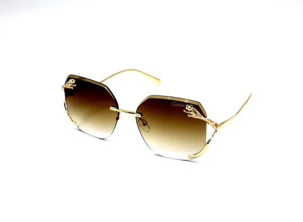 SwamiRaj_EyeWorld_Rimless_Golden_with_Brown__Hexagonal_Rimless_Sunglasses_(Titanium_Frame,_Brown_Shaded_Polycarbonate_Lens,_UV_Protected)_(58073_Golden_with_Brown)