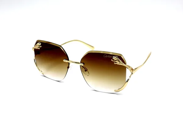 SwamiRaj_EyeWorld_Rimless_Golden_with_Brown__Hexagonal_Rimless_Sunglasses_(Titanium_Frame,_Brown_Shaded_Polycarbonate_Lens,_UV_Protected)_(58073_Golden_with_Brown)