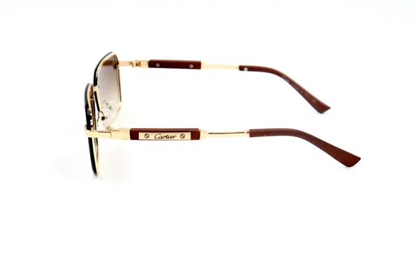 SwamiRaj_EyeWorld_Sunglasses_For_Men_&_Women_With_Very_Light_Weight_Titanium_Frame_&_UV_Protected_Polycarbonate_Lens_(56084_Brown)