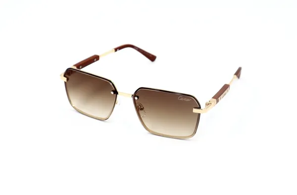 SwamiRaj_EyeWorld_Sunglasses_For_Men_&_Women_With_Very_Light_Weight_Titanium_Frame_&_UV_Protected_Polycarbonate_Lens_(56084_Brown)