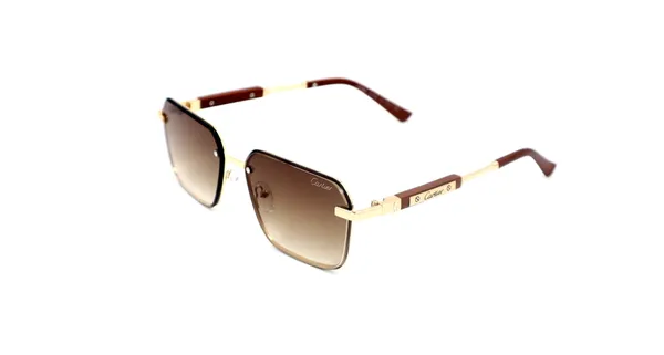 SwamiRaj_EyeWorld_Sunglasses_For_Men_&_Women_With_Very_Light_Weight_Titanium_Frame_&_UV_Protected_Polycarbonate_Lens_(56084_Brown)