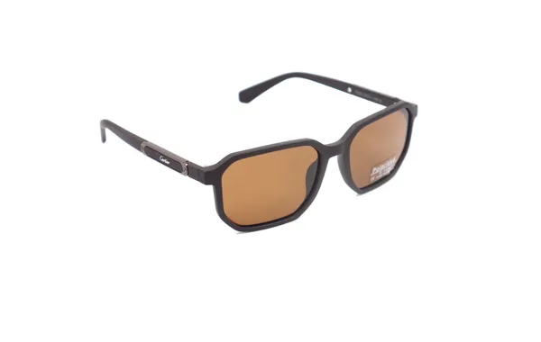 SwamiRaj_EyeWorld_Premium_Branded_Sunglasses_with_Stylish_Rich_Looking_UV_Protected_Polarized_Sunglasses_(P_8232_Brown)