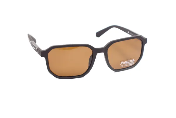 SwamiRaj_EyeWorld_Premium_Branded_Sunglasses_with_Stylish_Rich_Looking_UV_Protected_Polarized_Sunglasses_(P_8232_Brown)