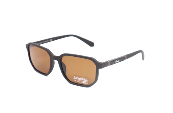 SwamiRaj_EyeWorld_Premium_Branded_Sunglasses_with_Stylish_Rich_Looking_UV_Protected_Polarized_Sunglasses_(P_8232_Brown)