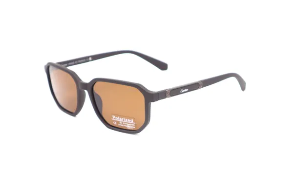 SwamiRaj_EyeWorld_Premium_Branded_Sunglasses_with_Stylish_Rich_Looking_UV_Protected_Polarized_Sunglasses_(P_8232_Brown)