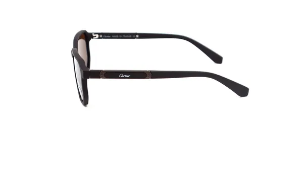 SwamiRaj_EyeWorld_Premium_Branded_Sunglasses_with_Stylish_Rich_Looking_UV_Protected_Polarized_Sunglasses_(P_8232_Brown)