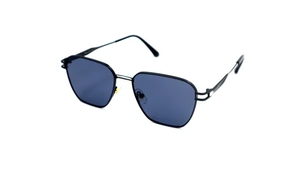 SwamiRaj_EyeWorld_Titanium_Frame_Sunglasses_with_Unbreakable_Polycarbonate_Lens,_Matt_Finish_(Black)