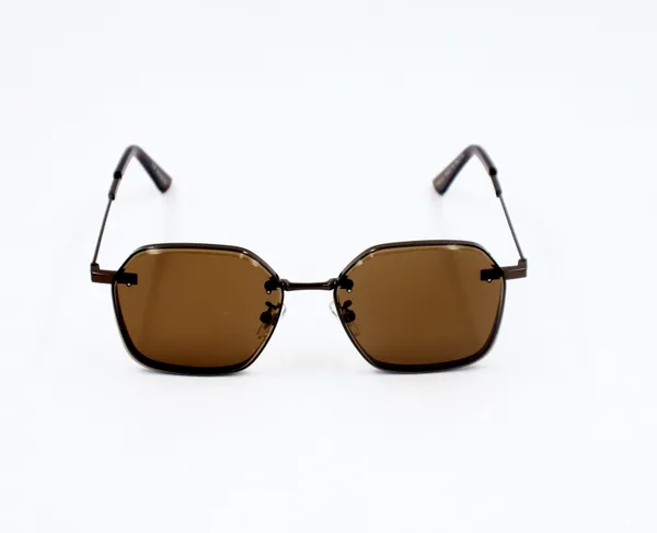 SwamiRaj_EyeWorld_Golden_with_Black_Hexagonal_Sunglasses_(Titanium_Frame,_Black_Polycarbonate_Lens,_UV_Protected)_(7787_Brown)
