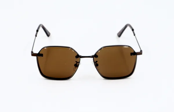 SwamiRaj_EyeWorld_Golden_with_Black_Hexagonal_Sunglasses_(Titanium_Frame,_Black_Polycarbonate_Lens,_UV_Protected)_(7787_Brown)