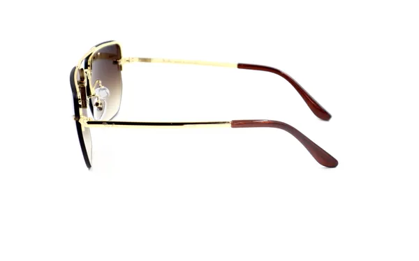 SwamiRaj_EyeWorld_Premium_Branded_Sunglasses_with_Stylish_Rich_Looking_UV_Protected_Polycarbonate__Lens_for_Men_&_Women._(_3738_Golden_with_Brown)