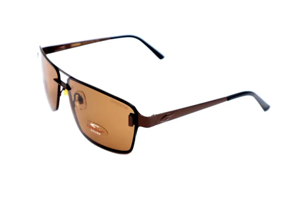 SwamiRaj_EyeWorld_Rimless_Aviator_Sunglasses_(Titanium_Frame,_Polarized_UV_Protected_Lens)_(Brown)_|_SwamiRaj_EyeWorld