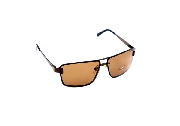 SwamiRaj_EyeWorld_Rimless_Aviator_Sunglasses_(Titanium_Frame,_Polarized_UV_Protected_Lens)_(Brown)_|_SwamiRaj_EyeWorld