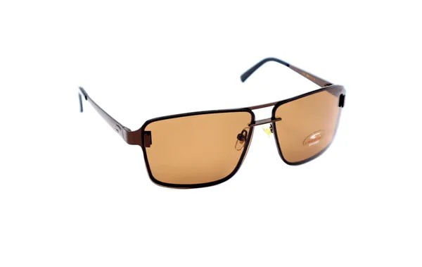 SwamiRaj_EyeWorld_Rimless_Aviator_Sunglasses_(Titanium_Frame,_Polarized_UV_Protected_Lens)_(Brown)_|_SwamiRaj_EyeWorld
