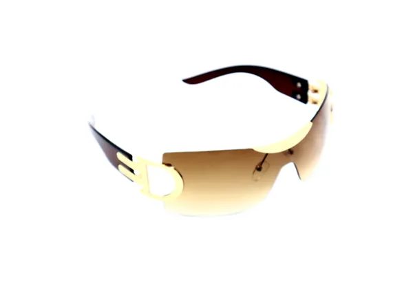 SwamiRaj_EyeWorld_Rimless_One-Piece_Sunglasses_(Titanium_Frame,_Polycarbonate_Lens,_UV_Protected)