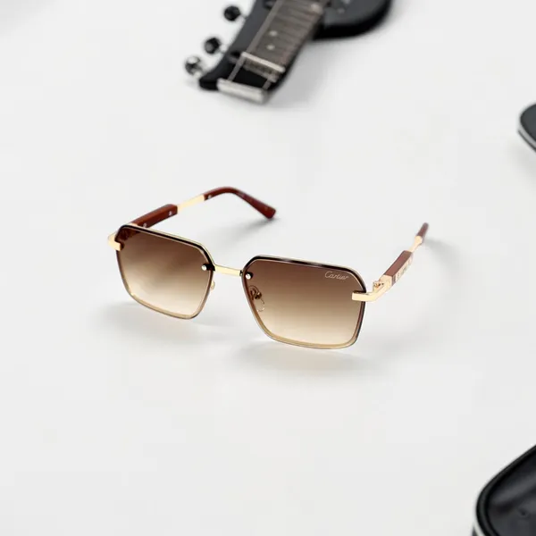 SwamiRaj_EyeWorld_Sunglasses_For_Men_&_Women_With_Very_Light_Weight_Titanium_Frame_&_UV_Protected_Polycarbonate_Lens_(56084_Brown)