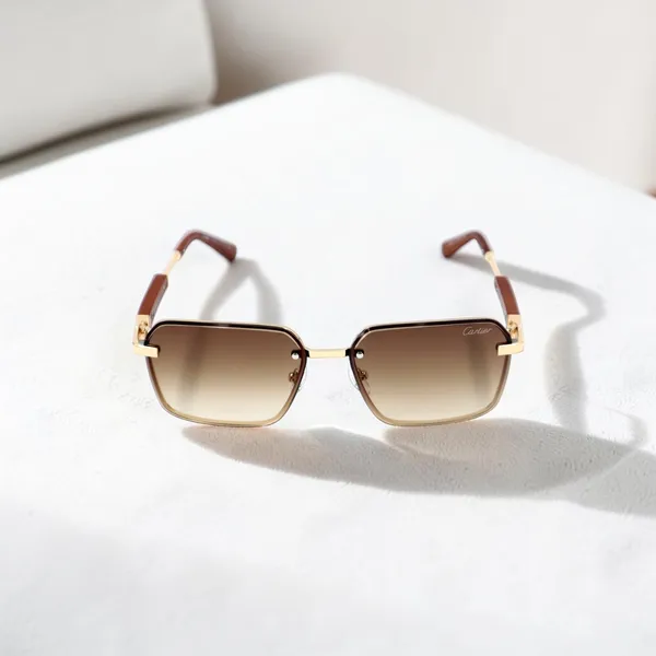 SwamiRaj_EyeWorld_Sunglasses_For_Men_&_Women_With_Very_Light_Weight_Titanium_Frame_&_UV_Protected_Polycarbonate_Lens_(56084_Brown)