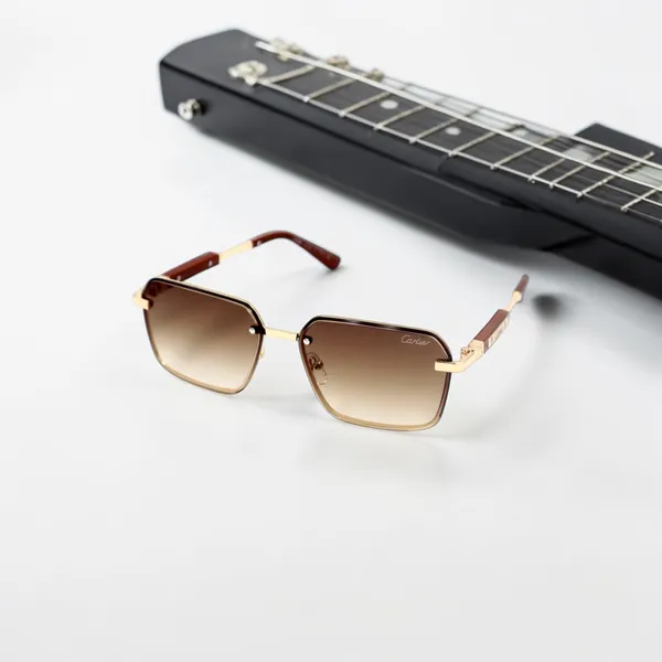 SwamiRaj_EyeWorld_Sunglasses_For_Men_&_Women_With_Very_Light_Weight_Titanium_Frame_&_UV_Protected_Polycarbonate_Lens_(56084_Brown)