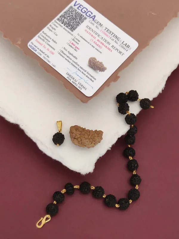 Regular_Brown_1_Mukhi_Lab_Test_Natural_Rudraksh_&_1_Natural_Rudraksh_Bracelet_For_Male