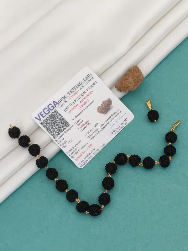Regular_Brown_1_Mukhi_Lab_Test_Natural_Rudraksh_&_1_Natural_Rudraksh_Bracelet_For_Male