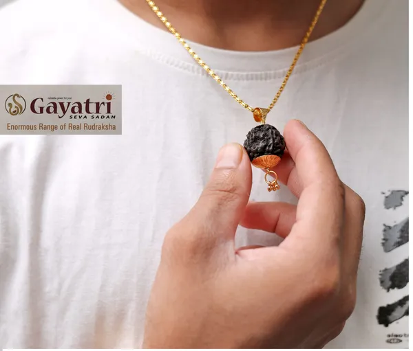 Gold_Plated__Combo_7_Products_3_Bracelets_3_Pendants_1_Natural_Rudraksh_Set_For_Male_