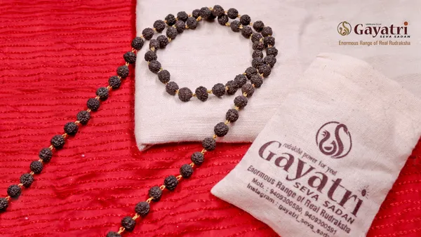 Black__Natural_Rudraksh_Mala_For_Men_|_Attached_Pendant
