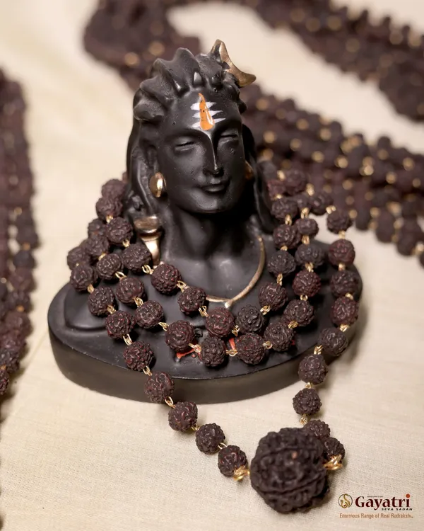 Black__Natural_Rudraksh_Mala_For_Men_|_Attached_Pendant