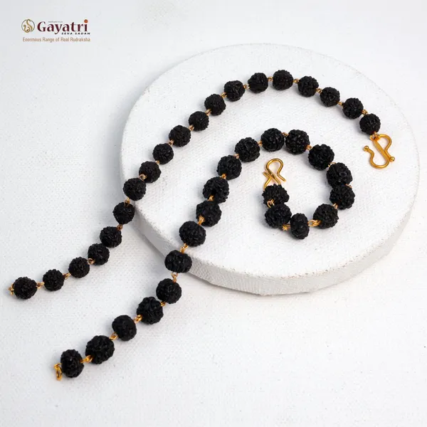 Gold_Plated_Couple_Regular_Natural_Rudraksh_Bracelet_For_Male_