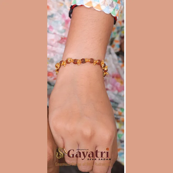 Gold_Plated__Combo_3_Female_Natural_Rudraksh_Bracelets_For_Female