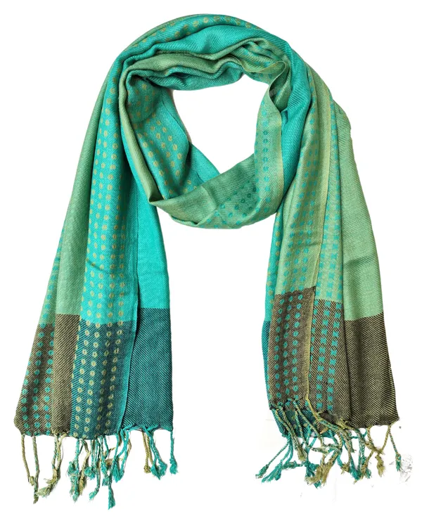 Green_Viscose_Blend_Scarf_with_Brown_Border_Pattern_(70x180_cm)